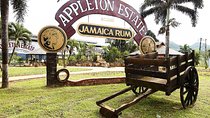 YS Falls and Appleton Rum Tour Adventure Tour from Montego Bay