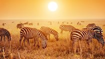 3-Day Lodge Safari-Tarangire, Manyara, Ngorongoro Crater