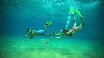 Beach Hopper Small-Group Snorkeling Tour in Los Cabos