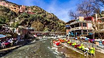 Day trip Ourika waterfall & Berber Villages
