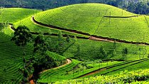 Short Break Kerala - 4 Days