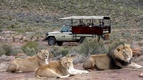 Shared Transfers to and from Safari Game Reserve (excluding entrance fees)