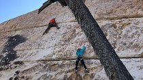 Beginner Group Rock Climbing in Joshua Tree National Park