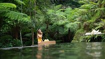 Floating Breakfast at Private jungle pool , Swing , Sunrise and Balinesse Spa