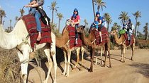1 Hour CAMELS RIDE palmeraie (casa road ) min 2 pers-Private