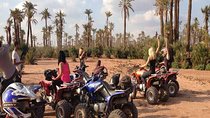 1hour QUAD PALMERAIE (Bab atlas, Fes road) min 2 pers, Private