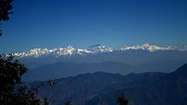 Top Tibba Day Hike and Dhanaulti Visit