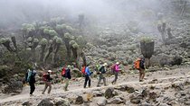 CLIMB THE KILIMANJARO rongai route
