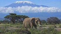 Amboseli/ Tsavo West/ Tsavo East 4 Days Safari