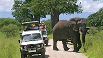 Amboseli National Park Guided Full Day Tour