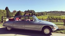 Private city tour of Bordeaux with wine tasting at a chateau - 3H