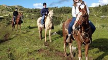 Horse Ride + Guided Visit To Sacsayhuaman
