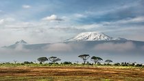 Kilimanjaro: Lemosho Route