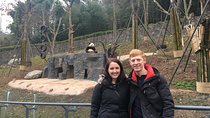 Chengdu Discovery: 4-Hour Giant Panda Base Tour
