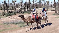 PACK QUAD AND CAMELS RIDE bab atlas min 2 pers -Private
