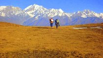 Dayara Bugyal Himalayan Trekking and Camping