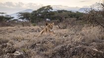 Day Trip - Tarangire National Park