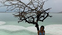 Day tour to Dead Sea, Masada and Qumran National Park