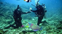 Falmouth Shore Excursion: 2-Tank Certified Scuba Diving Tour
