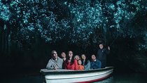 Waitomo Caves Private Tour from Auckland