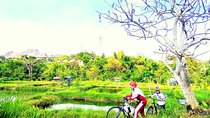 Yogyakarta Cycling Tour Around the Villages and Fish Farm