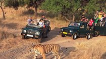 7-Day Golden Triangle & Ranthambore Tiger Safari from Delhi