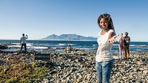 Robben Island Ticket, Kirstenbosch & South African Wine Tasting Small Group Tour
