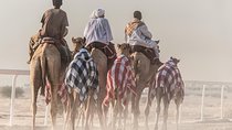 Doha: Relax & Refresh Under the Desert Stars + a FREE camel ride