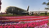 Dubai Miracle Garden Self-Guided Tour with Ticket with Transfer 