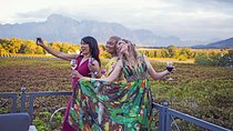 Constantia Winelands Private Wine Tour from Cape Town