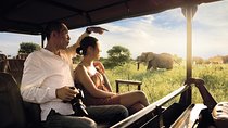 Kruger National Park Full Day Big 5 Safari Tour From Hazyview