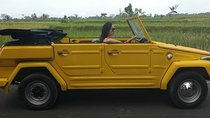 Safari style tour in Bali Island