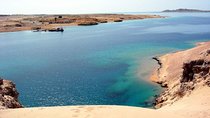 1 Day Private Trip to Ras Mohamed By Car From Sharm-el-Sheikh