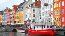 Copenhagen by Yourself with English driver 4/8h disposal by Sedan