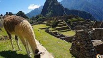 3-Day tour Cusco Machu Picchu