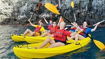 Kayak with Dolphin & Turtle Watching Private Tour 