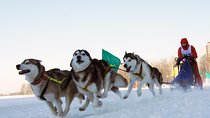 1day Dog Sledging, Visit The Terelj National Park And Chenggis Khaan Statue.