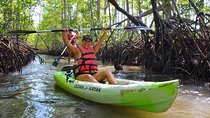 Mangrove Kayaking (or boat) Adventure