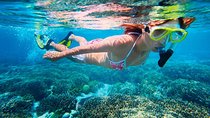 Basic Snorkel Experience in Cancun with Transportation
