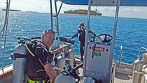 Certified Scuba Diving with Whitetip Marine Adventures team