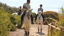 Algarve - Exclusive horseriding in Portimao (no experience required)