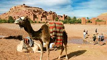 Ait Benhaddou day trip