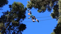 Adrenalin Forest Auckland