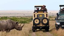 Best 7 Days Kenya Adventure Wildlife Safari