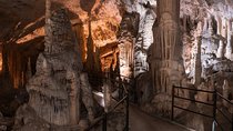 Half day tour to Postojna cave - Private tour from Koper