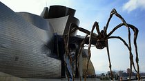 Bilbao and Guggenheim Museum Private tour