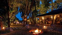 11-Day Ultimate Kenya Luxury Safari