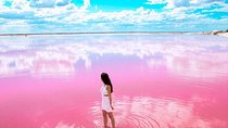 Tour Las Coloradas & Rio Lagartos only from Tulum