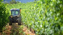 Chianti Vineyards Tours in Private Luxury Van from Florence