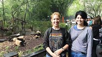Visiting Chengdu Panda Base in a Half Day